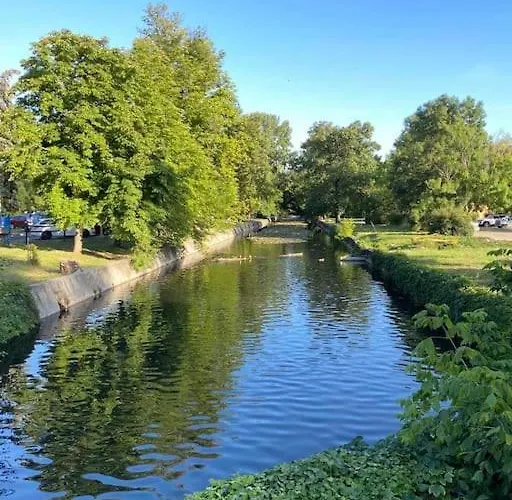 Apartament Gallery - *