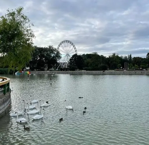 Apartament Gallery -