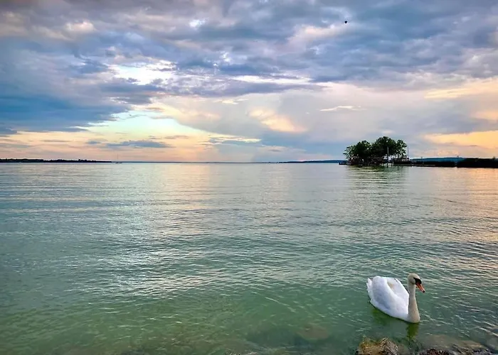 Gallery - Apartament *